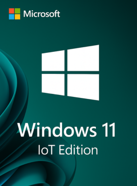 Microsoft Windows 11 Enterprise IoT Edition Key